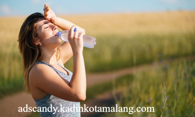 Kesehatan Tubuh Secara Optimal